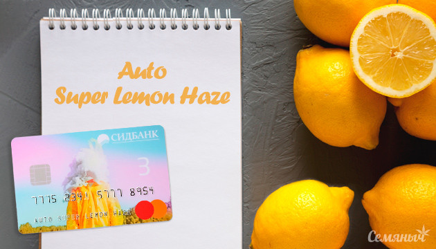 Гроурепорт сорта Auto Super Lemon Haze