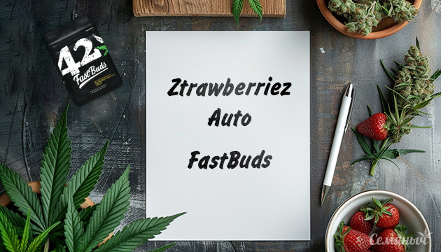 Гроурепорт сорта Ztrawberriez Auto fem от FastBuds