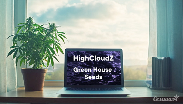 Гроурепорт сорта HighCloudz fem от Семяныча
