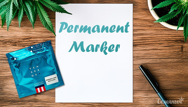 Гроурепорт сорта Permanent Marker