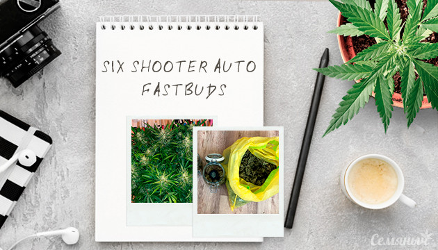 Гроурепорт сорта Six Shooter auto